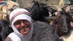 Çatak Belediyesi Tanıtım Flimi