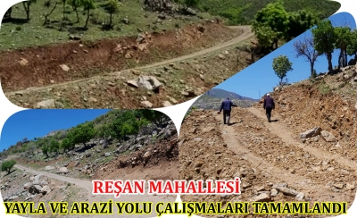 Reşan Mahallesi Yayla Ve Arazi Yolu &Ccedil;alışmaları Tamamlandı