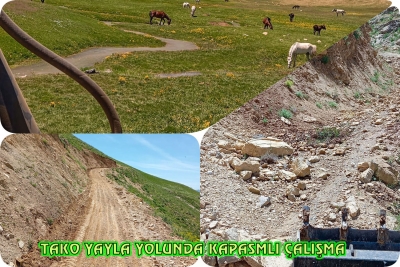 Tako Yayla Yolunda Kapsamlı &Ccedil;alışma