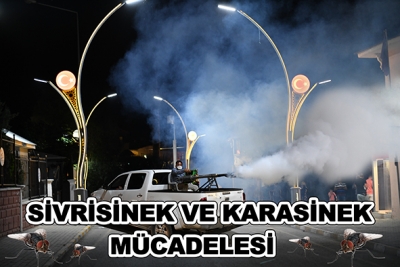 Belediyeden Sivrisinek ve Karasinek M&uuml;cadelesi