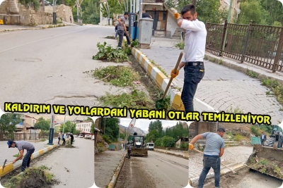 Kaldırım Ve Yollardaki Yabani Otlar Temizleniyor