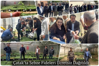 &Ccedil;atak&rsquo;ta Sebze Fideleri &Uuml;cretsiz Dağıtıldı